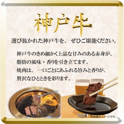 神戸牛 焼き肉用 500g TSY2 【2026年4月より順次発送】【配送不可地域：離島】【1682630】