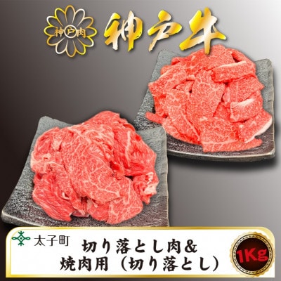 訳あり神戸牛　TSSY2S　切り落とし・焼肉(不揃い)　500gずつセット【配送不可地域：離島】【1509908】