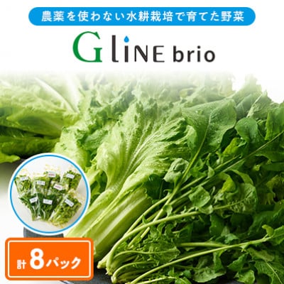 【毎月定期便】G Line brio レタス8パックセット全3回【配送不可地域：離島】【4056836】