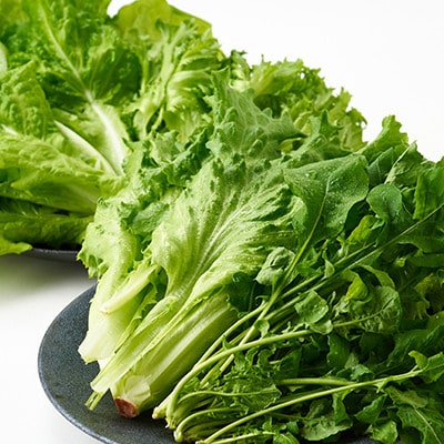 縲先ッ取怦螳壽悄萓ソ縲賎 Line brio 繝ャ繧ソ繧ケ12繝代ャ繧ッ繧サ繝繝亥ィ3蝗槭宣埼∽ク榊庄蝨ー蝓滂シ夐屬蟲カ縲代4056843縲