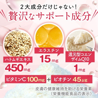 【2ヵ月毎定期便】ヒアルロン＆コラーゲン+還元型CoQ10　袋タイプ×2個セット 60日分全3回【4054722】