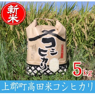 令和6年産 上郡町高田米コシヒカリ 5kg【1580466】