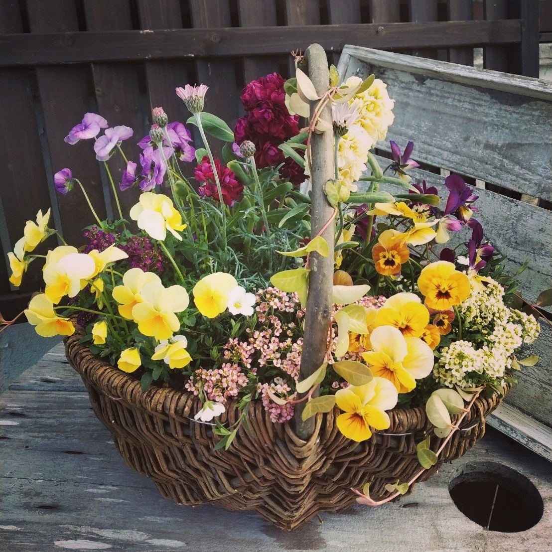 お花一杯バスケット寄せ植えLサイズ(35cm程度)季節の寄せ植え ? 花 バスケット セット 寄せ植え 兵庫県 上郡町