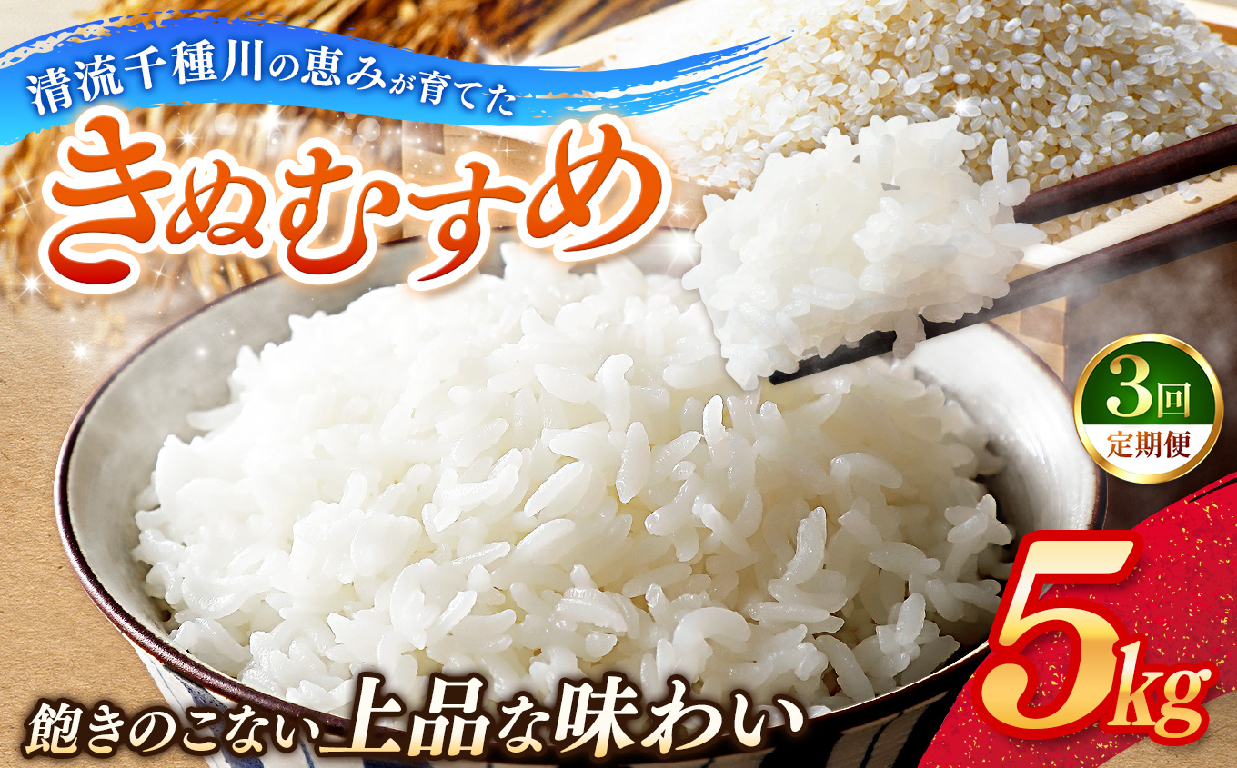 【定期便3回】令和7年産 上郡町からのお米 きぬむすめ5kg×3回 | お米 きぬむすめ 定期便 千種川 農家 和食 安心 安全 産地直送 おいしい グルメ こだわり 逸品 国産 兵庫県 上郡町