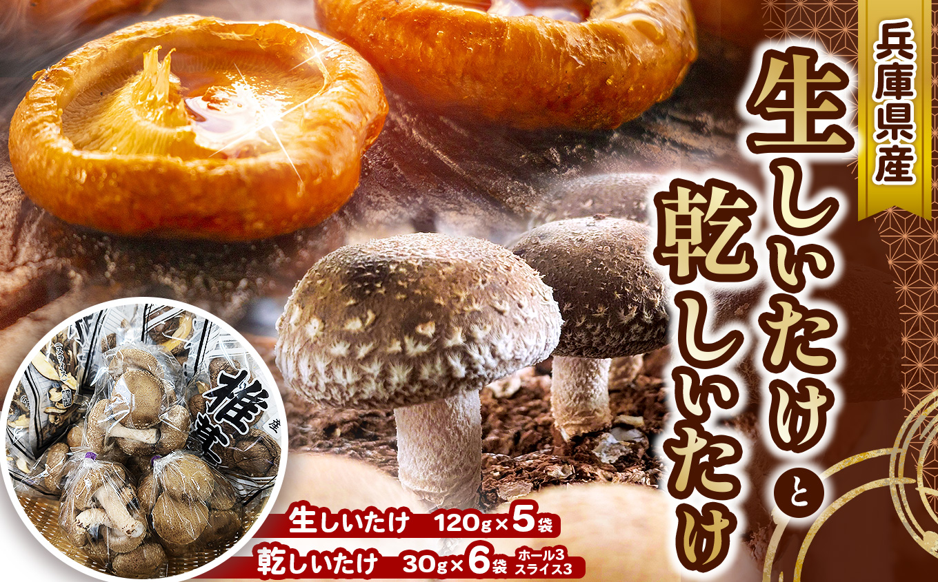 生しいたけ120g×5袋・乾しいたけ30g×6袋(ﾎｰﾙ3袋・ｽﾗｲｽ3袋)  | 兵庫県 上郡町 しいたけ 椎茸 きのこ 茸
