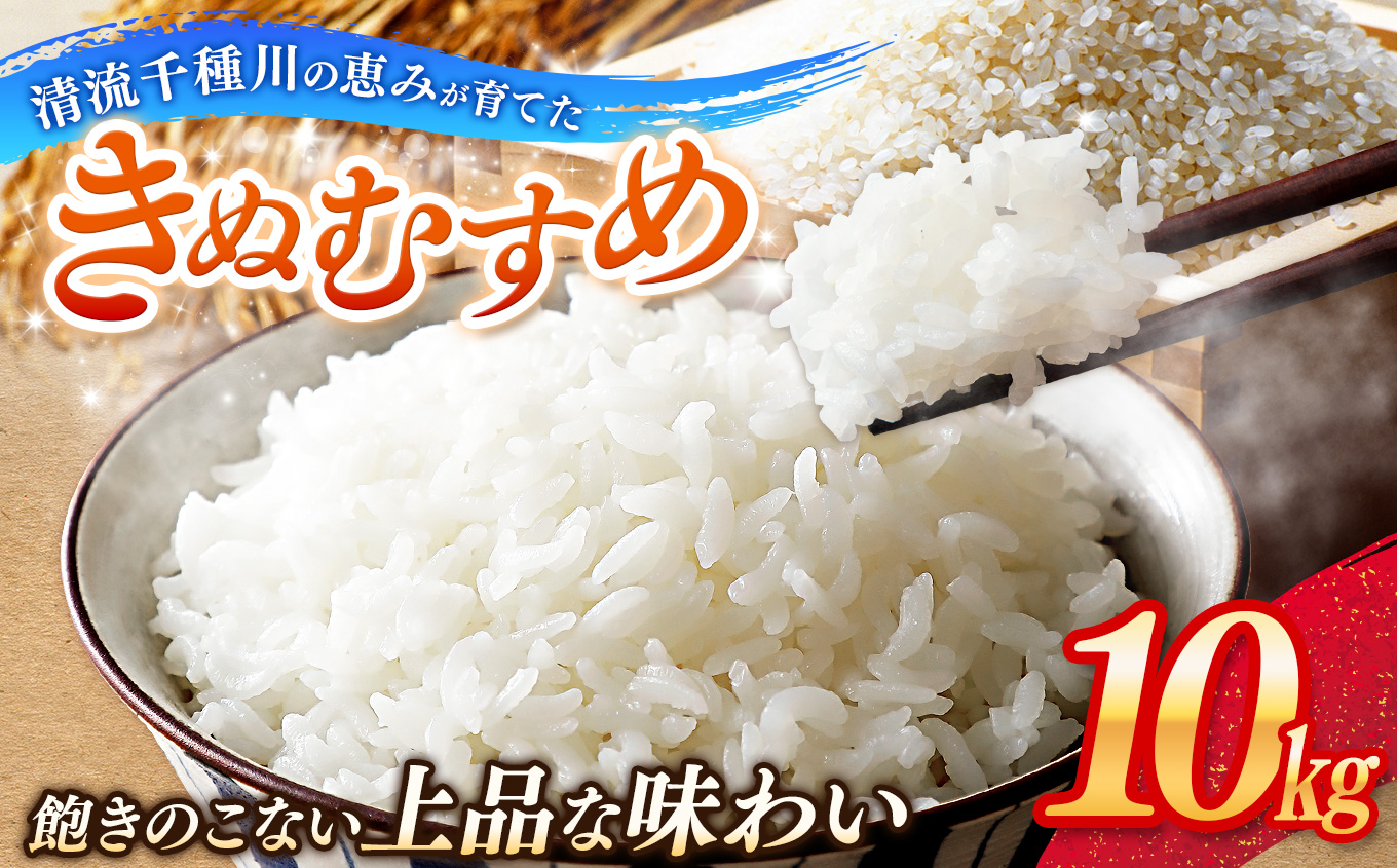 令和7年産 上郡町からのお米 きぬむすめ10kg | お米 きぬむすめ 定期便 千種川 農家 和食 安心 安全 産地直送 おいしい グルメ こだわり 逸品 国産 兵庫県 上郡町