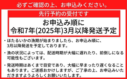 【ほたるいか 鮮度抜群 ボイル 小分け 250g×2パック 500g 酢味噌付 兵庫県産 冷蔵】【先行予約：令和7年3月以降発送予定】 生ほたるいかを水揚げ後すぐにボイル その日のうちに発送 新鮮さが際立ち、冷凍からの茹で上げとは艶が全く違います 熟練の職人が絶妙な塩加減で茹上げ 兵庫県はホタルイカ水揚げ日本一 いか 香美町 香住 しゃぶしゃぶ ふるさと納税 モリタ食品 6000円 10-13