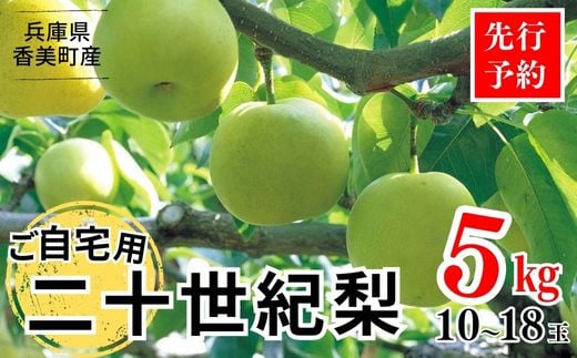 【先行予約】【20世紀梨 ご自宅用 5kg（10～18玉）】サイズバラつき有り（L～5L）傷あり 不揃い ご自宅用 大人気 二十世紀梨 果肉はしっかり シャキシャキの食感 ほどよい甘さとみずみずしさ 日本海に面する梨の本場 兵庫県香美町で育つ「香住梨」糖度を計測して出荷 兵庫県 香美町 フルーツ ナシ 青梨 和梨 ふるさと納税 JAたじま 12000円 12-20