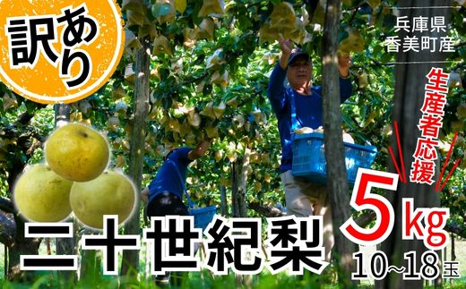 先行予約【梨 訳あり 20世紀梨 5kg（10～18玉）】生産者応援商品！ ９月上旬以降発送予定 数量限定 台風で落下した梨やカメムシ被害を受けた梨も含む ご家庭用 ジャムなど加工用 傷あり 不揃い 二十世紀梨 兵庫県  香美町 香住梨 フルーツ ナシ 青梨 和梨 JAたじま 10000円 12-23