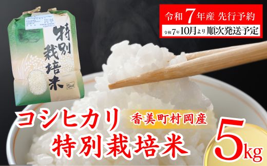 【先行予約 令和7年産米】【香美町 村岡産 コシヒカリ 特別栽培米 精米5kg】令和7年10月以降順次予定 米 おすすめ  但馬牛の堆肥による土づくり 自然循環型の有機栽培 安全・安心なお米を生産 炊きあがったお米の粒立ちが格別 ふっくらもちもち食感 香りと甘みも非常に豊か 冷めても美味しい米 送料無料 兵庫県 香美町 コシヒカリ 19000円 71-01