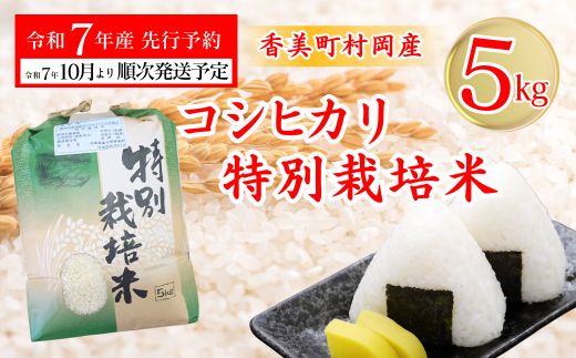 【先行予約 令和7年産米】【香美町 村岡産 コシヒカリ 特別栽培米 精米5kg】令和7年10月以降順次予定 米 おすすめ  但馬牛の堆肥による土づくり 自然循環型の有機栽培 安全・安心なお米を生産 炊きあがったお米の粒立ちが格別 ふっくらもちもち食感 香りと甘みも非常に豊か 冷めても美味しい米 送料無料 兵庫県 香美町 コシヒカリ 19000円 71-01