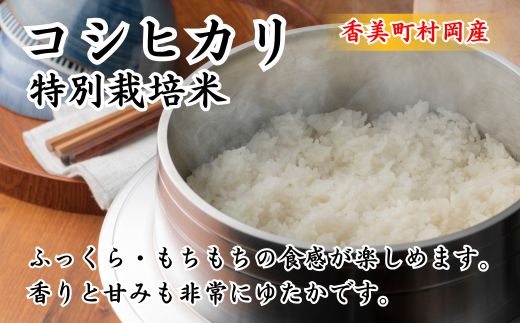 【先行予約 令和7年産米】【香美町 村岡産 コシヒカリ 特別栽培米 精米5kg】令和7年10月以降順次予定 米 おすすめ  但馬牛の堆肥による土づくり 自然循環型の有機栽培 安全・安心なお米を生産 炊きあがったお米の粒立ちが格別 ふっくらもちもち食感 香りと甘みも非常に豊か 冷めても美味しい米 送料無料 兵庫県 香美町 コシヒカリ 19000円 71-01