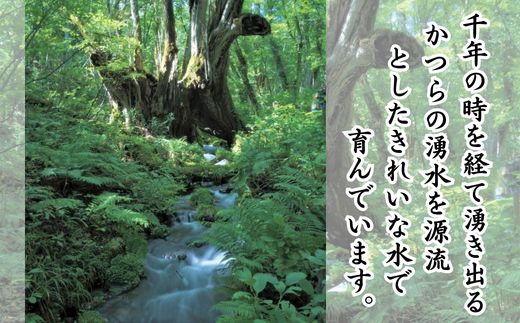 【先行予約 令和7年産米】【香美町 村岡産 コシヒカリ 特別栽培米 精米5kg】令和7年10月以降順次予定 米 おすすめ  但馬牛の堆肥による土づくり 自然循環型の有機栽培 安全・安心なお米を生産 炊きあがったお米の粒立ちが格別 ふっくらもちもち食感 香りと甘みも非常に豊か 冷めても美味しい米 送料無料 兵庫県 香美町 コシヒカリ 19000円 71-01