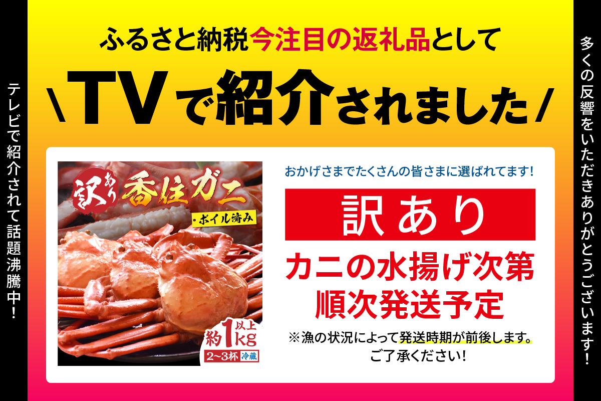 〈カンテレ「やすとも・友近のキメツケ！」で紹介！〉【訳あり 香住ガニ 浜茹で 2～3杯 約1kg以上 1～2本指落ち 冷蔵】【令和8年4月以降発送予定】 TVで紹介 国産 香住 日本海 カニ かに 蟹  爪 身 脚 しゃぶ ベニ ズワイガニ 紅 べに ずわいがに 訳あり ご自宅用 大人気 ふるさと納税 返礼品 おすすめ 兵庫県 香美町 丸近 19-09