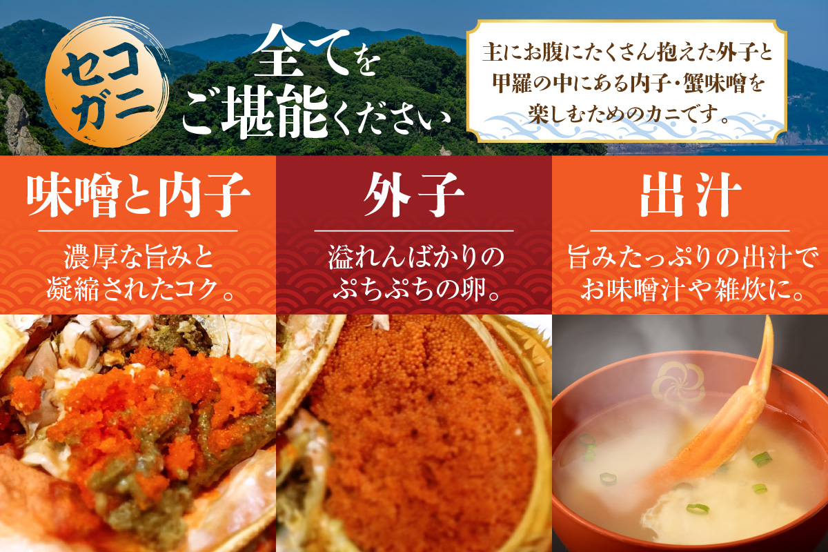 【セコガニ 訳あり（欠足 キズ 汚れなど）約120g×8匹 冷凍】濃厚 かにミソ 内子 外子 産地直送 鮮度抜群 国産 カニ かに 蟹 松葉ガニ せいこがに メスガニ 親ガニ ふるさと納税 おすすめ 返礼品 兵庫県 香美町 香住 日本海フーズ にしとも かに市場 18000円 07-09 ☆