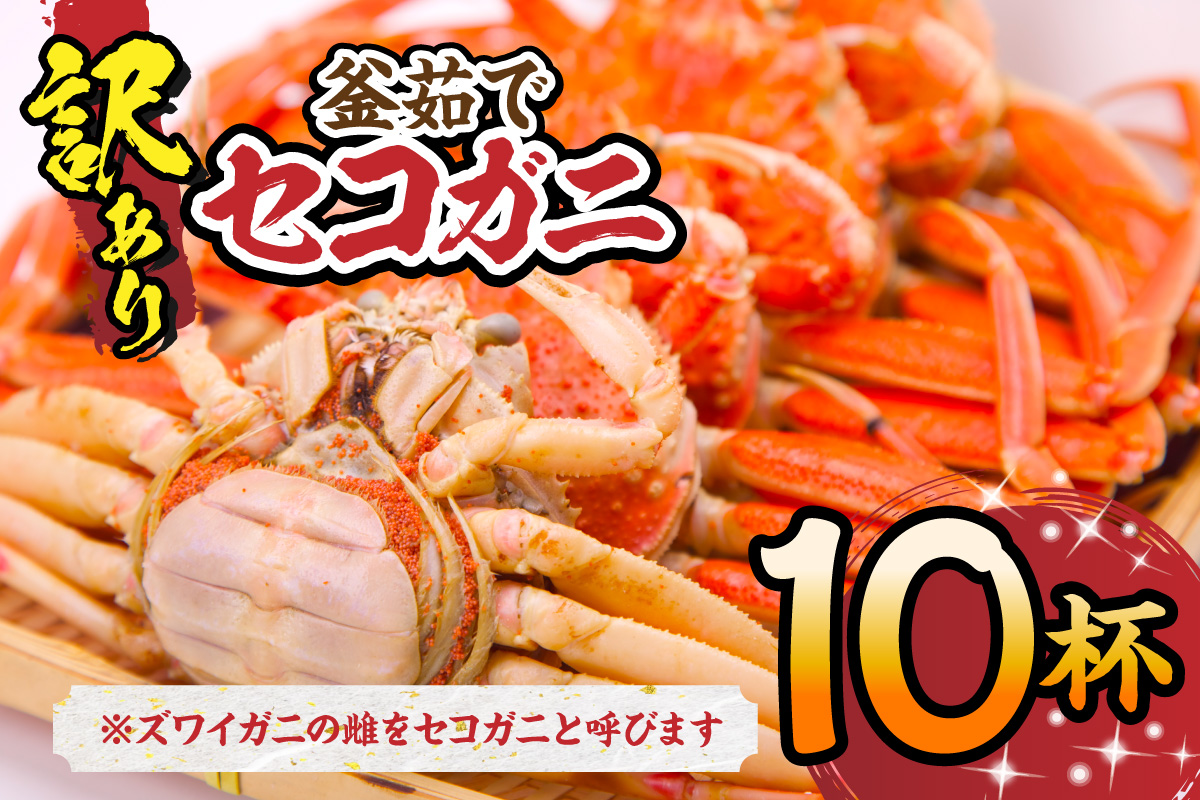 【セコガニ 訳あり（欠足 キズ 汚れなど）約120g×10匹 冷凍】内子 外子 カニ味噌 濃厚 絶品 釜茹で 冷凍 産地直送 鮮度抜群 国産 かに カニ 蟹 ボイル ズワイガニ 松葉がに せいこがに メスガニ 雌 めす 親ガニ 大人気 おすすめ 贈り物 ギフト お取り寄せ 兵庫県 香美町 香住 柴山 日本海フーズ 07-117
