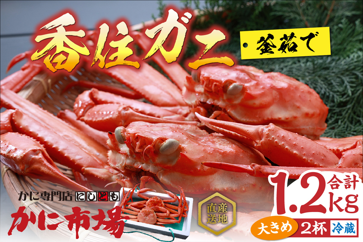 【香住ガニ 釜茹で 大きめ 約600g×2匹（約1.2kg以上）冷蔵】ご入金確認後、順次発送 カニの本場 香住 漁鮮 香美町 ベニズワイガニ ボイル かに ゆでガニ むき身 足 爪 身 脚 しゃぶ 甲羅 かにすき 日本海フーズ 16000円 07-01