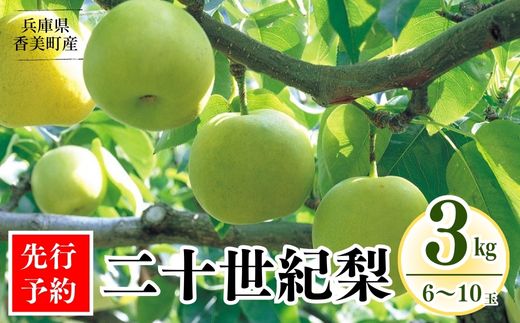 【先行予約】【梨 20世紀梨 香住梨 3kg 秀品（Aランク）L～5Lサイズ混合6～10玉】大人気 ふるさと納税 おすすめ 返礼品 ランキング 二十世紀梨 シャキシャキの食感 ほどよい甘さとみずみずしさ 日本海に面する梨の本場 香美町で育つ香住梨 一つひとつの糖度を計測 兵庫県 香美町 香住 フルーツ ナシ 贈答品 ギフト 青梨 和梨 国産 たじまんま JAたじま 12000円 76-02