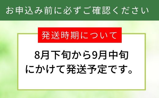 【先行予約】【梨 20世紀梨 香住梨 3kg 秀品（Aランク）L～5Lサイズ混合6～10玉】大人気 ふるさと納税 おすすめ 返礼品 ランキング 二十世紀梨 シャキシャキの食感 ほどよい甘さとみずみずしさ 日本海に面する梨の本場 香美町で育つ香住梨 一つひとつの糖度を計測 兵庫県 香美町 香住 フルーツ ナシ 贈答品 ギフト 青梨 和梨 国産 たじまんま JAたじま 12000円 76-02