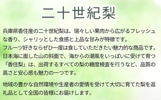 【先行予約】【梨 20世紀梨 香住梨 3kg 秀品（Aランク）L～5Lサイズ混合6～10玉】大人気 ふるさと納税 おすすめ 返礼品 ランキング 二十世紀梨 シャキシャキの食感 ほどよい甘さとみずみずしさ 日本海に面する梨の本場 香美町で育つ香住梨 一つひとつの糖度を計測 兵庫県 香美町 香住 フルーツ ナシ 贈答品 ギフト 青梨 和梨 国産 たじまんま JAたじま 12000円 76-02