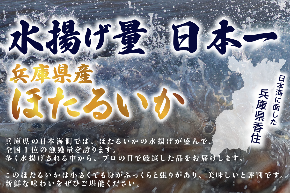 【先行予約】【ほたるいか 鮮度抜群 ボイル 小分け 250g×4パック 1kg 酢味噌付 兵庫県産 冷蔵】令和8年3月以降順次発送予定 生ほたるいかを水揚げ後すぐにボイル その日のうちに発送 新鮮さが際立ち 冷凍からの茹で上げとは艶が全く違います。熟練の職人が絶妙な塩加減で茹上げ。兵庫県はホタルイカ水揚げ日本一 いか 香美町 香住 しゃぶしゃぶ ふるさと納税 モリタ食品 10000円 10-14
