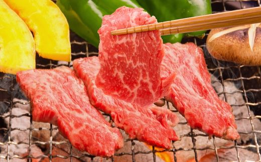 【但馬牛がっせぇ盛り 焼肉用計1kg（250g×4）冷凍】発送目安：入金確認後1ヶ月程度 配送日の指定はできません。 大人気 人気ふるさと納税 返礼品 おすすめ ランキング しゃぶ 牛肉 ステーキ しゃぶしゃぶ すき焼き 焼肉 但馬 神戸 兵庫県 但馬牛 27000円 72-24
