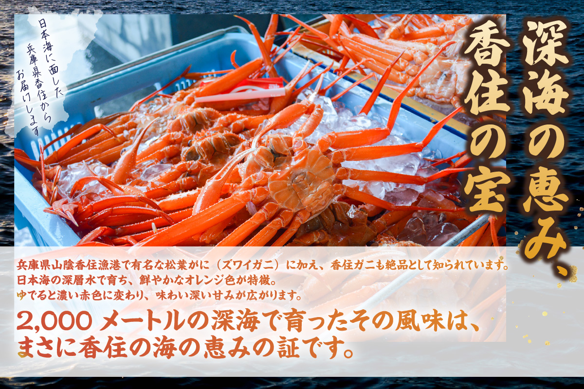 【香住ガニ 切ガニ カット済み 4～5肩分 1kg以上】期間限定 冷蔵 日本海 ボイル 茹で 添加物不使用 新鮮 ふるさと納税 おすすめ 国産 ベニズワイガニ 紅ズワイガニ 肩 かに カニ 蟹 かにみそ かに鍋 レシピ カニの本場 兵庫県 香美町 香住 中松商店 09-03