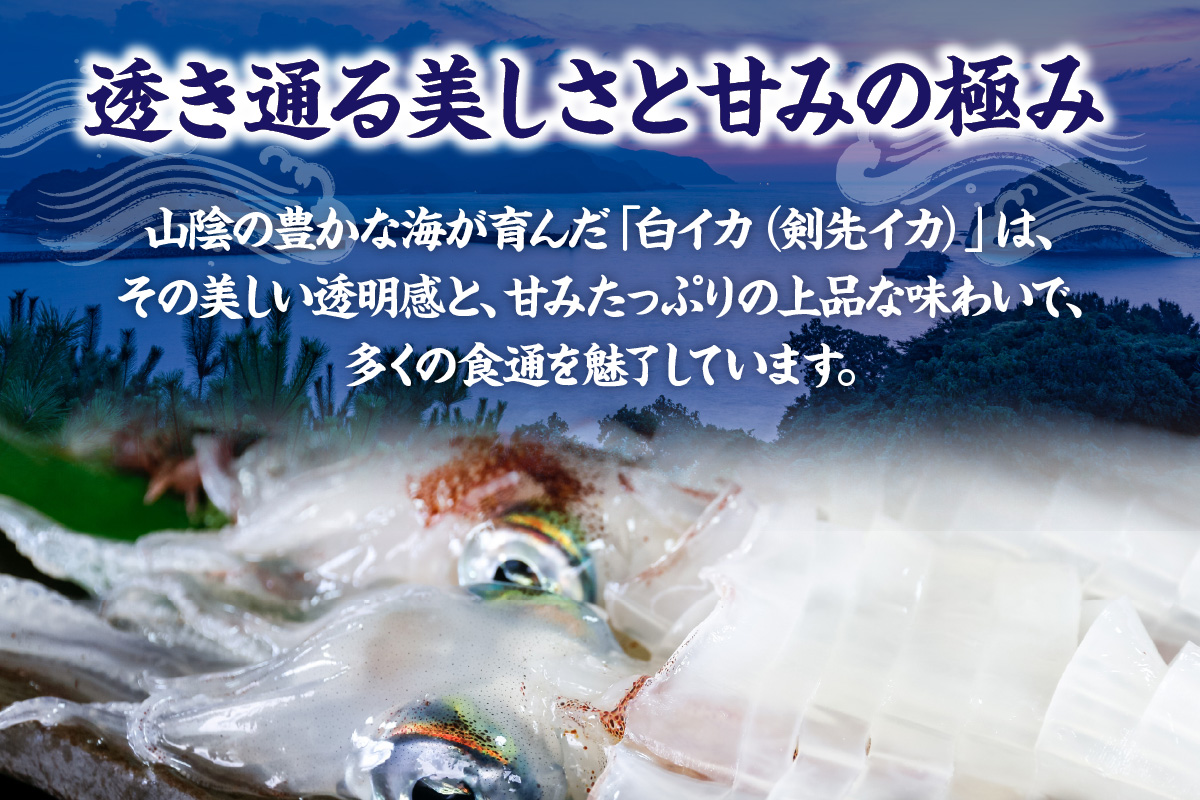 蜈郁。御コ育エ縲仙絢霄ォ逕ィ逋ス縺縺九縺崎コォ縲邏350g 蜀キ蜃阪台サ、蜥8蟷エ6譛井ク区流莉・髯阪鬆谺。逋コ騾∽コ亥ョ 縺縺 繧、繧ォ 逋ス縺縺 蜑」蜈医う繧ォ 蛻コ霄ォ 譁ー魄ョ 魄ョ蠎ヲ謚懃セ、 驟偵ョ閧エ 縺翫▽縺セ縺ソ 莠コ豌 縺翫☆縺吶a 蜈オ蠎ォ逵 鬥咏セ守伴 鬥吩ス 螳ソ髯「蝠蠎 33-32
