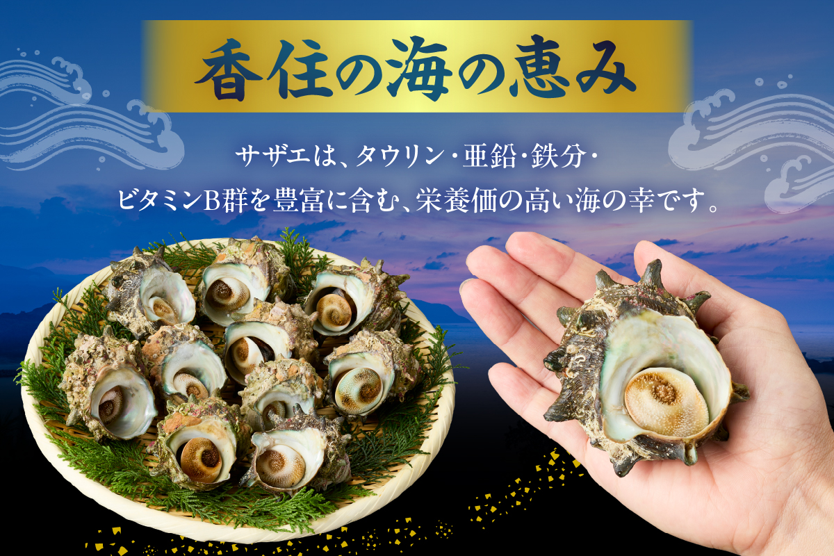 縲仙オ蠎ォ逵碁ヲ吩ス冗肇 螟ゥ辟カ 豢サ 繧オ繧カ繧ィ 2kgシ14ス20蛟具シ牙キ阡オ縲鷹ヲ吩ス上〒豌エ謠壹£縺輔l縺滓眠魄ョ縺ェ繧オ繧カ繧ィ繧偵♀螻翫¢ 縺、縺シ辟シ縺 轤翫″霎シ縺ソ縺秘」ッ 繧オ繧カ繧ィ鬟ッ 驟偵ョ閧エ 逎ッ縺ョ鬥吶j 鬚ィ蜻ウ雎翫° 縺輔*縺 譁ー魄ョ 螟ゥ辟カ 豬キ魄ョ 螟ァ莠コ豌 螟丈シ代∩ BBQ 繝舌シ繝吶く繝・繝シ 繧ュ繝」繝ウ繝 縺顔寔 豬キ 譌・譛ャ豬キ 蜈オ蠎ォ逵 鬥咏セ守伴 鬥吩ス 譟エ螻ア 螳ソ髯「蝠蠎 33-20