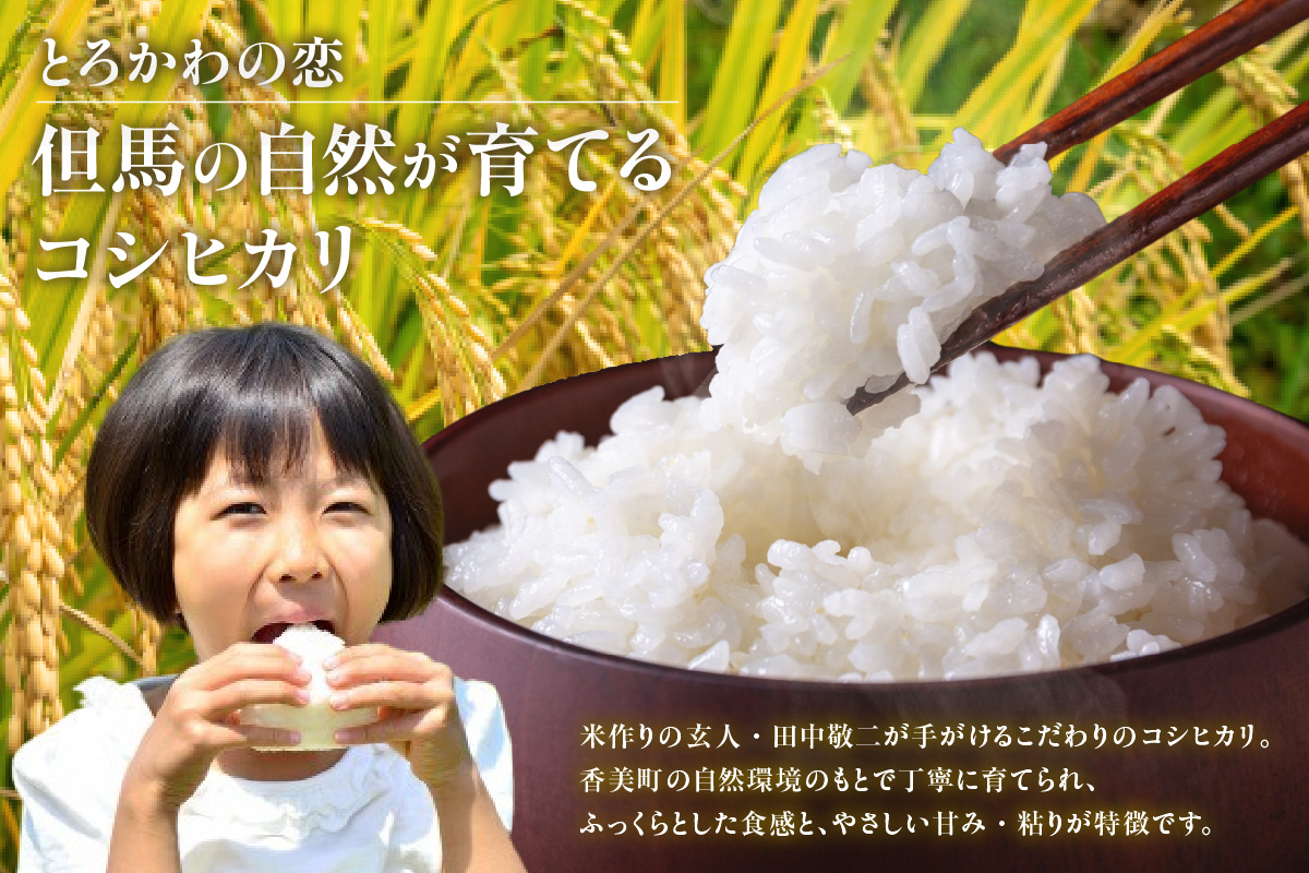 《先行予約》【兵庫県香美町産コシヒカリ】【令和8年産「とろかわの恋（極）」おためし6合（2合×3）】【令和8年10月中旬以降発送予定】 常温 香美町産 但馬堆肥米 お米 白米 令和8年産 お試し ふるさと納税 おすすめ 返礼品 兵庫県 香美町 香住 アグリクロード村岡 13-13