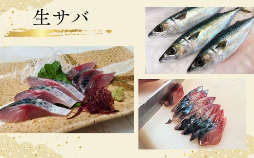 【山陰のお刺身用魚3点セット生サバ のどぐろ ハタハタ 冷凍】【令和8年6月中旬以降発送予定】 ノドグロ 赤睦 はたはた 真サバ さば 3Dフリーザー凍結 新鮮 お寿司 手巻き寿司 お魚 お刺身 さしみ おさしみ セット 盛り合わせ 産地直送 鮮度抜群 大人気 おすすめ ふるさと納税 返礼品 兵庫県 香美町 香住 山米鮮魚 74-01