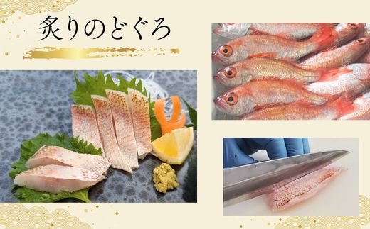 【山陰のお刺身用魚3点セット生サバ のどぐろ ハタハタ 冷凍】【令和8年6月中旬以降発送予定】 ノドグロ 赤睦 はたはた 真サバ さば 3Dフリーザー凍結 新鮮 お寿司 手巻き寿司 お魚 お刺身 さしみ おさしみ セット 盛り合わせ 産地直送 鮮度抜群 大人気 おすすめ ふるさと納税 返礼品 兵庫県 香美町 香住 山米鮮魚 74-01