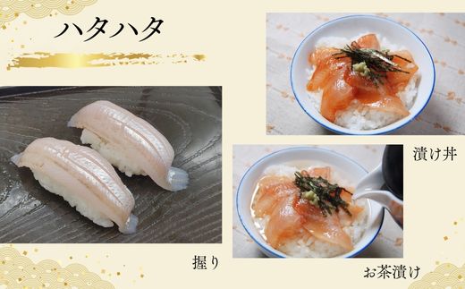 【山陰のお刺身用魚3点セット生サバ のどぐろ ハタハタ 冷凍】【令和8年6月中旬以降発送予定】 ノドグロ 赤睦 はたはた 真サバ さば 3Dフリーザー凍結 新鮮 お寿司 手巻き寿司 お魚 お刺身 さしみ おさしみ セット 盛り合わせ 産地直送 鮮度抜群 大人気 おすすめ ふるさと納税 返礼品 兵庫県 香美町 香住 山米鮮魚 74-01