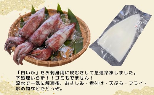 【柔らかくて甘い！お刺身用 白イカむき身 350g（冷凍）】下処理済み 産地直送 鮮度抜群 刺身 夕飯 おつまみ 晩酌 調理 便利 大人気 香美町 香住 イカ 白いか 山米鮮魚 22000円 74-05
