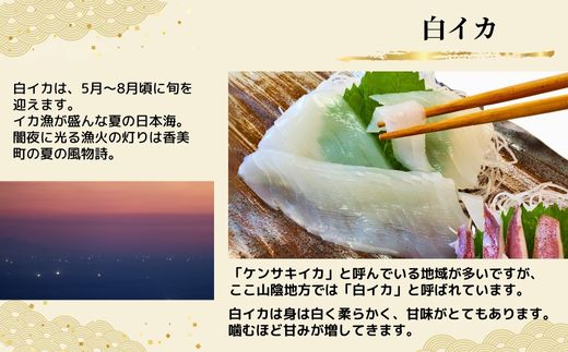 【柔らかくて甘い！お刺身用 白イカむき身 350g（冷凍）】下処理済み 産地直送 鮮度抜群 刺身 夕飯 おつまみ 晩酌 調理 便利 大人気 香美町 香住 イカ 白いか 山米鮮魚 22000円 74-05