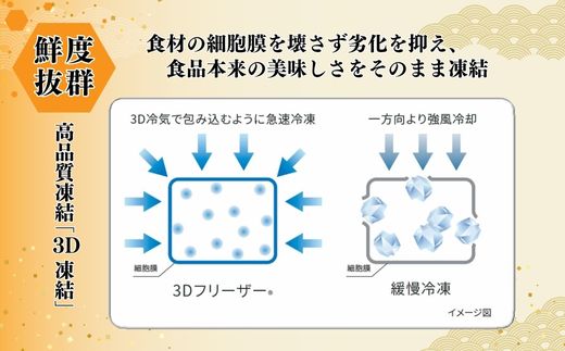 【柔らかくて甘い！お刺身用 白イカむき身 350g（冷凍）】下処理済み 産地直送 鮮度抜群 刺身 夕飯 おつまみ 晩酌 調理 便利 大人気 香美町 香住 イカ 白いか 山米鮮魚 22000円 74-05
