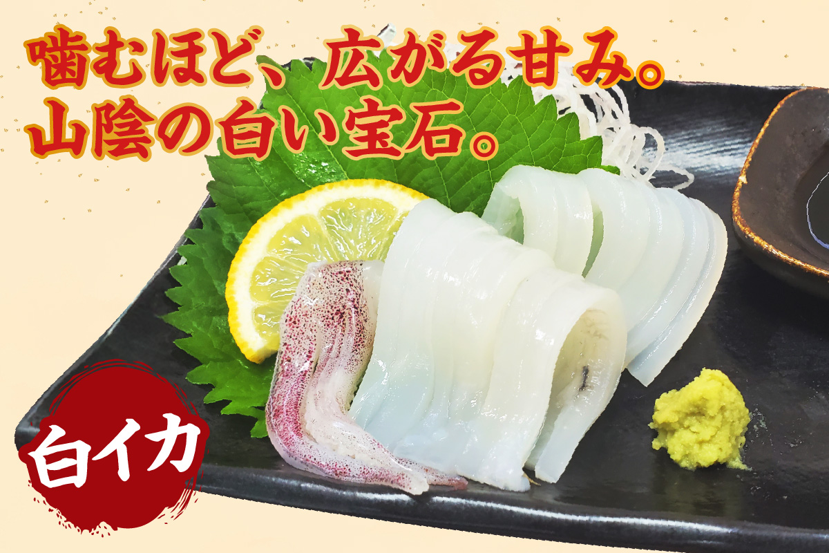 ãçœã€ã« çŽ1.5kgïŒ5-8æ¯çšåºŠå
¥ïŒ å·åãç²ãããŸãŸ ãã©åçµ 3Dåçµ é®®åºŠæçŸ€ ã€ã« ãã çœã€ã« çœãã å€§äººæ° ãããã å
µåº«ç éŠçŸçº 山米鮮é 74-06