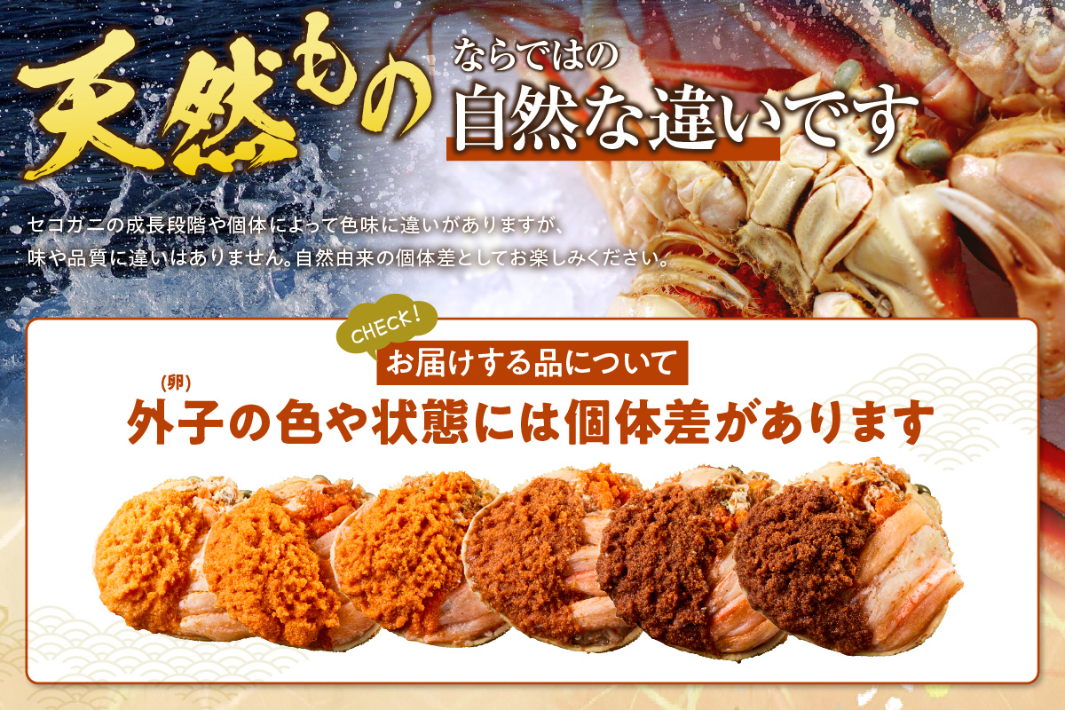 【兵庫県香住産 セコガニ 釜茹で 甲羅盛り 約70～80g×2個 総量140g以上 冷凍】 TVで紹介 日本テレビ カンテレ 国産 かに カニ 蟹 せこがに 内子 外子 かに身 かにみそ 海鮮 松葉がに メス 大人気 おすすめ ふるさと納税 返礼品 兵庫県 香美町 香住 日本海フーズ かに市場 07-115