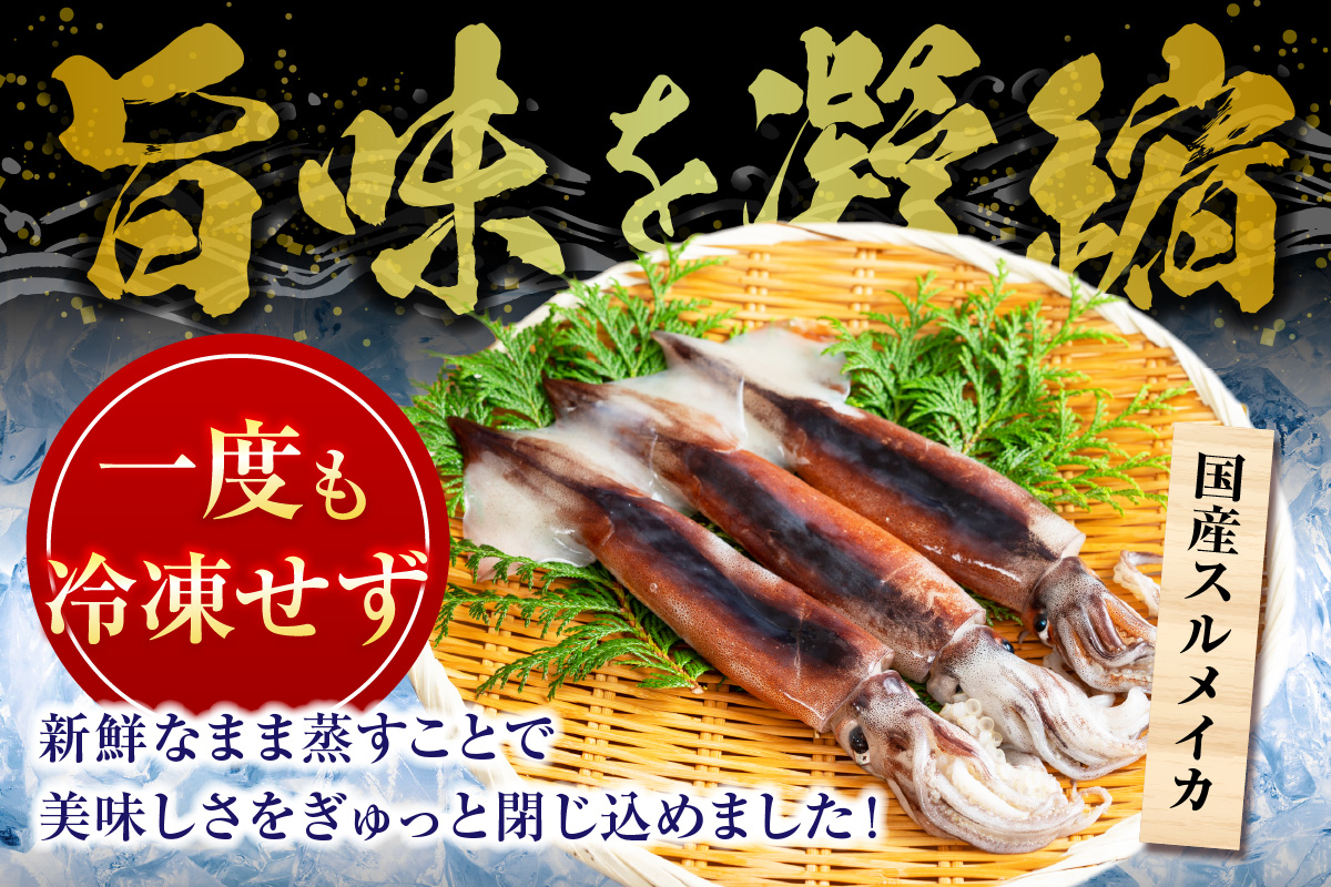 【 串イカ 6尾入り（約100g～130g×6尾）冷凍 】 新鮮 旨味 凝縮 イカ焼き 食べ応え 抜群 いか 串 スチーム 蒸しイカ バーベキュー 焼肉 鉄板焼き BBQ キャンプ 国産 兵庫県 香美町 香住 香住漁港 モリタ食品 10-10