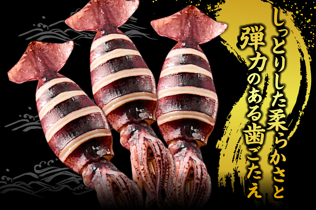【 串イカ 6尾入り（約100g～130g×6尾）冷凍 】 新鮮 旨味 凝縮 イカ焼き 食べ応え 抜群 いか 串 スチーム 蒸しイカ バーベキュー 焼肉 鉄板焼き BBQ キャンプ 国産 兵庫県 香美町 香住 香住漁港 モリタ食品 10-10