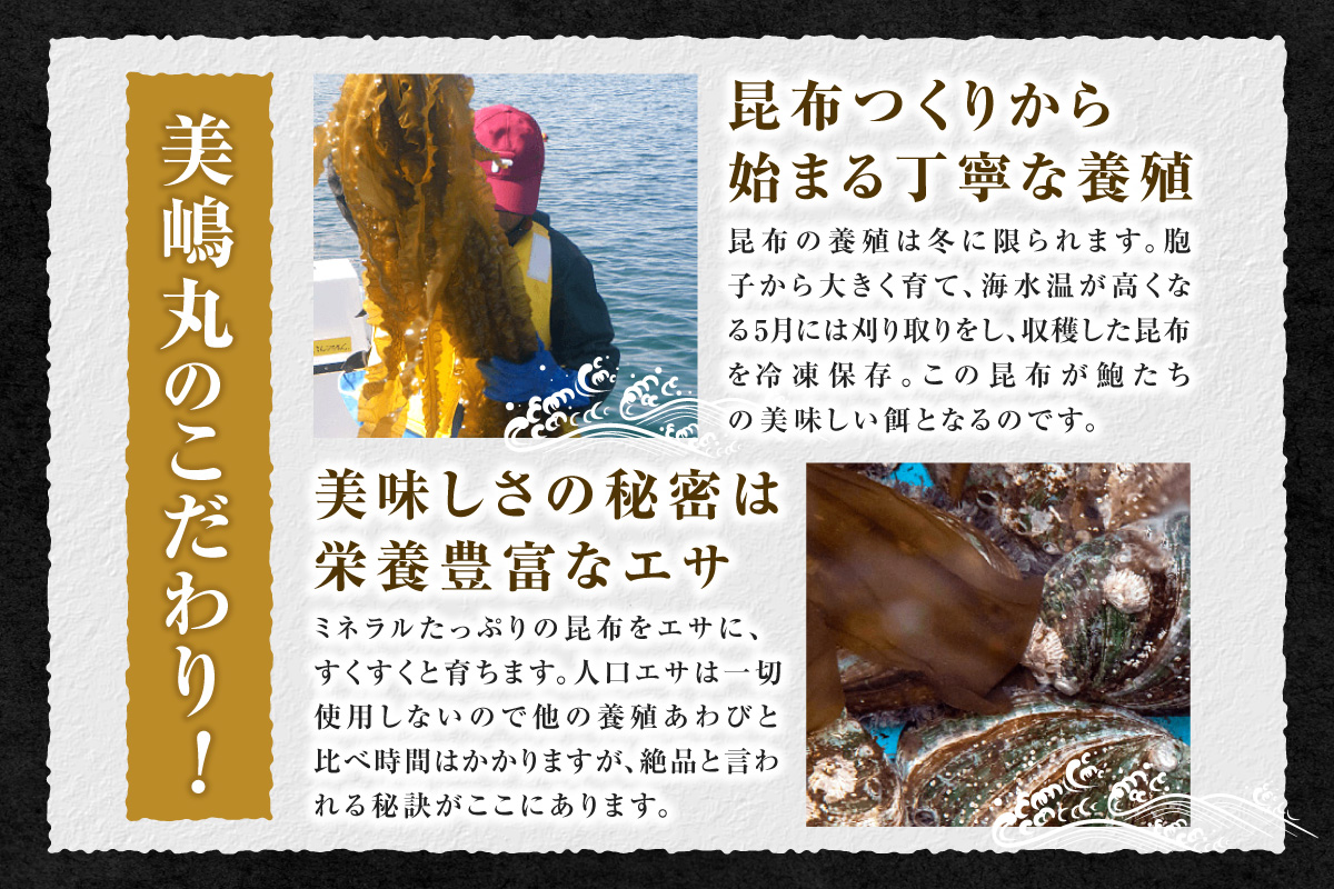 【干しあわび 3個入り 小サイズ 冷凍】発送目安：入金確認後2週間以内 国産 香住 山陰 アワビ 鮑 あわび 乾燥 乾燥あわび 干し鮑 中華料理 高級食材 縁起物 兵庫県 香美町 美嶋丸 20-13