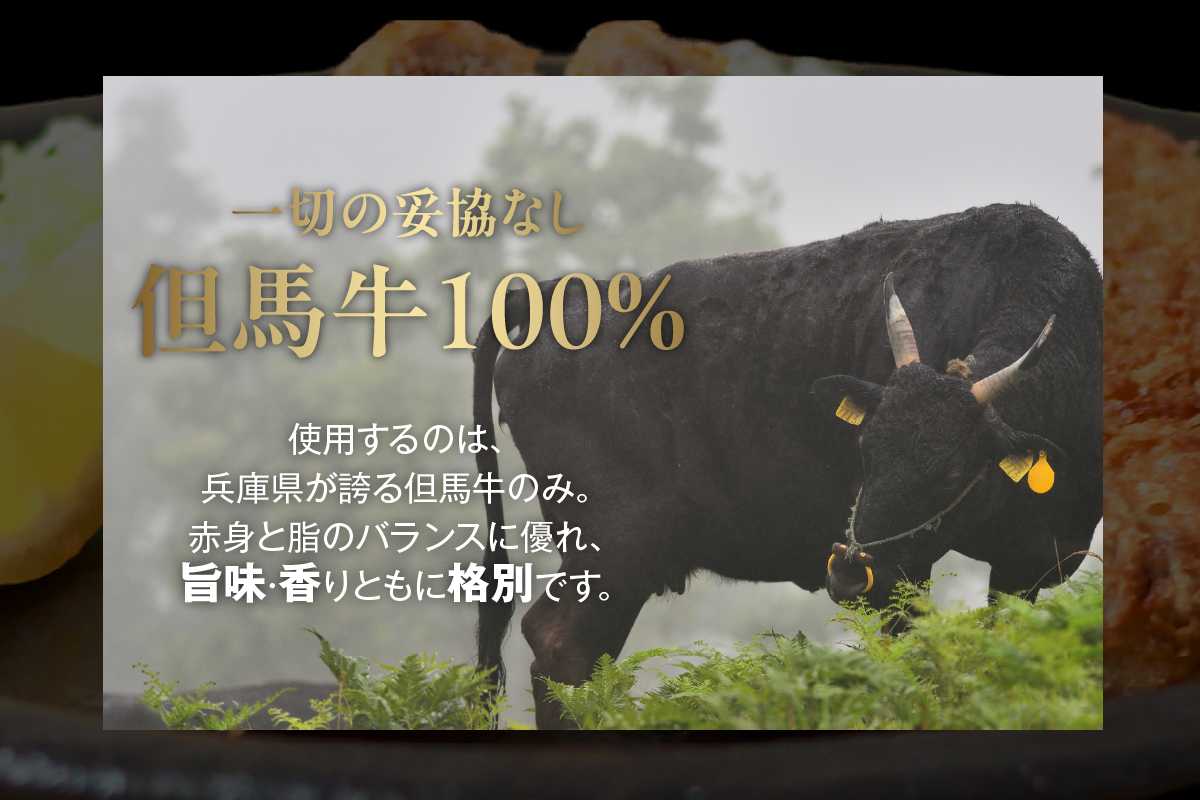【但馬牛感動メンチカツ ｰ但馬牛100％使用- 12個入 （4個入×3箱） 冷凍】最高級 但馬牛 和牛 牛肉 小分け メンチカツ 時短 おすすめ 兵庫県 香美町 小代 民宿 松田屋 47-09