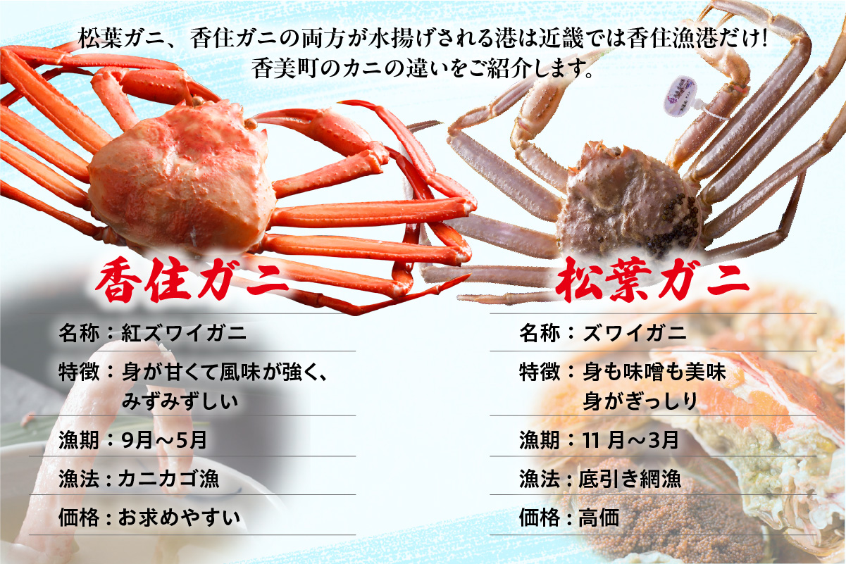 【香住ガニ 釜茹で ボイル 大きめ 約600g×2匹（約1.2kg以上）冷蔵】大人気 人気 ランキング おすすめ 国産 しゃぶ かにみそ かにすき かに鍋 カニの本場 香住 兵庫県 香美町  注意書きの確認を必ずお願いします  ベニズワイガニ かに 蟹  むき身 爪 脚 日本海フーズ 07-01 ☆