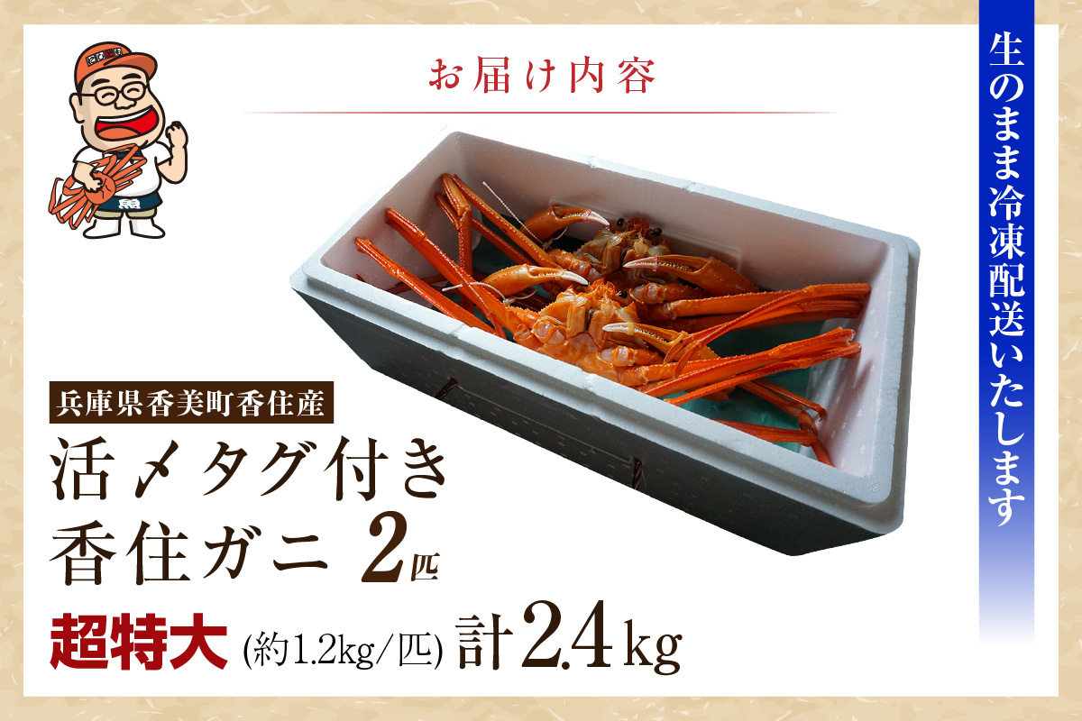 ãéŠäœã¬ã 掻ãã¿ã°ä»ãéŠäœã¬ã è¶
ç¹ã
倧 çŽ1.2kgÃ2å¹ïŒåèšçŽ2.4kg以äžïŒçå·åãã什å8幎2æäžæ¬ä»¥éçºéäºå®ãå€§äººæ° ãããã ã©ã³ãã³ã° åœç£ ã«ãã®æ¬å Ž éŠäœ æ¥éå·å ãããºã¯ã€ã¬ã ã«ã ãã« éŠçŸ ããã¶ããã¶ åºèº« ãã«ãã çŒãã¬ã è¹ å
µåº«ç éŠçŸçº KMG æ¥æ¬æµ·ããŒãº 07-136