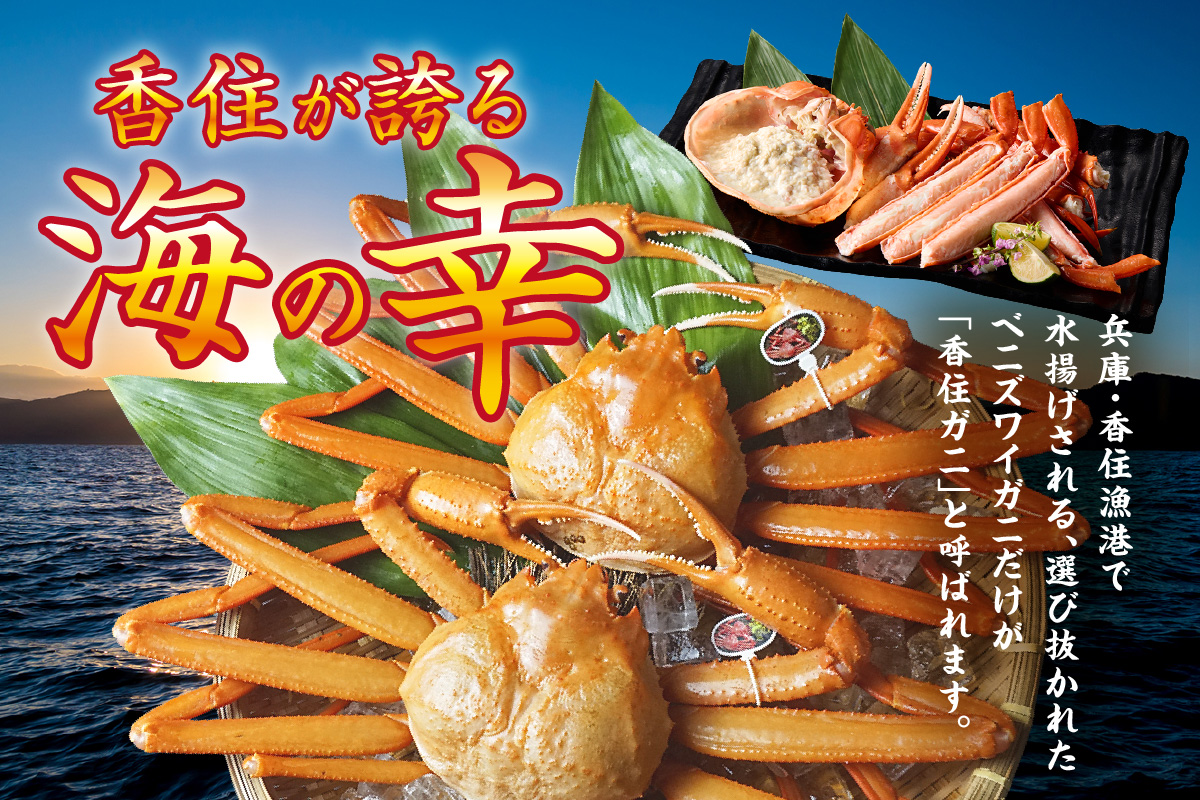 ãéŠäœã¬ã 掻ãã¿ã°ä»ãéŠäœã¬ã è¶
ç¹ã
倧 çŽ1.2kgÃ2å¹ïŒåèšçŽ2.4kg以äžïŒçå·åãã什å8幎2æäžæ¬ä»¥éçºéäºå®ãå€§äººæ° ãããã ã©ã³ãã³ã° åœç£ ã«ãã®æ¬å Ž éŠäœ æ¥éå·å ãããºã¯ã€ã¬ã ã«ã ãã« éŠçŸ ããã¶ããã¶ åºèº« ãã«ãã çŒãã¬ã è¹ å
µåº«ç éŠçŸçº KMG æ¥æ¬æµ·ããŒãº 07-136