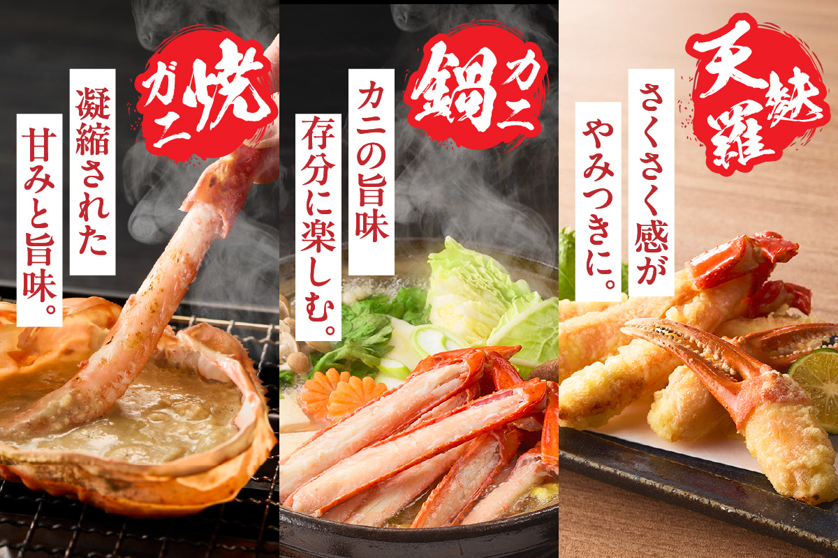 ãéŠäœã¬ã 掻ãã¿ã°ä»ãéŠäœã¬ã è¶
ç¹ã
倧 çŽ1.2kgÃ2å¹ïŒåèšçŽ2.4kg以äžïŒçå·åãã什å8幎2æäžæ¬ä»¥éçºéäºå®ãå€§äººæ° ãããã ã©ã³ãã³ã° åœç£ ã«ãã®æ¬å Ž éŠäœ æ¥éå·å ãããºã¯ã€ã¬ã ã«ã ãã« éŠçŸ ããã¶ããã¶ åºèº« ãã«ãã çŒãã¬ã è¹ å
µåº«ç éŠçŸçº KMG æ¥æ¬æµ·ããŒãº 07-136