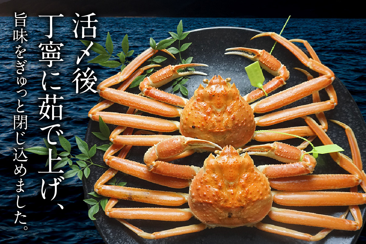 ãå
è¡äºçŽããèš³ãã éè¹ã§æŸèãã« ã¿ã°ä»ã 500gÃ2å¹ å
µåº«ç éŠäœç£ æ°ééå® å·åã什å7幎11æäžæ¬ä»¥éãé æ¬¡çºéäºå® ã«ãã®æ¬å Ž æ°é®® ãã« ã«ã ãºã¯ã€ã¬ã åœç£ è è¶³ çª èº« è© å€§äººæ° å
µåº«ç éŠçŸçº éŠäœ æŽå±± æ¥æ¬æµ·ããŒãº 07-137