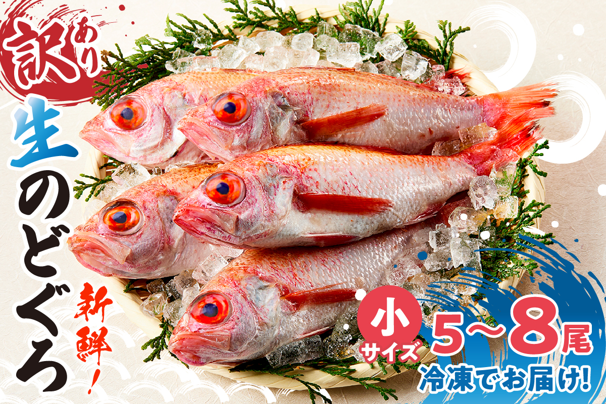 【訳あり のどぐろ 生冷凍 調理済 少し小さめ（1匹80～100g前後）内容量：約600g～700g 冷凍 兵庫県香住産】ご入金確認後、順次発送予定 サイズ不揃い 少し小さめ 日本海で水揚げ 鮮度抜群、脂乗りの良いノドグロを急速冷凍 細胞を壊さず、食品の美味しさをキープ 白身のトロ 産地直送 兵庫県 香美町 香住 柴山 山陰 大人気 ふるさと納税 送料無料 宿院商店 14000円 33-14