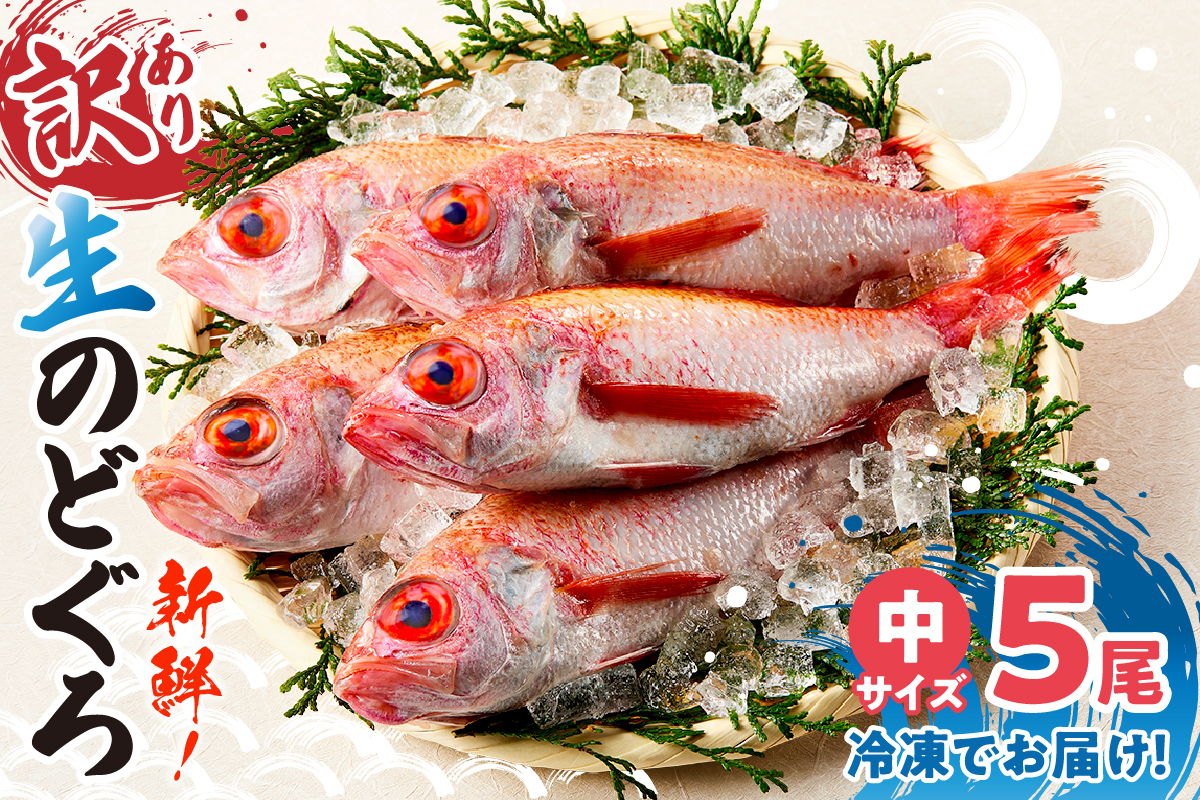 【兵庫県香住産 処理済 のどぐろ中5匹 1匹約150g前後 計約700～800g 冷凍】令和8年3月下旬以降、順次発送予定 日本海 鮮度抜群 生冷凍 急速冷凍 白身のトロ ノドグロ 国産 産地直送 兵庫県 香美町 香住 柴山 山陰 大人気 おすすめ 宿院商店 33-30