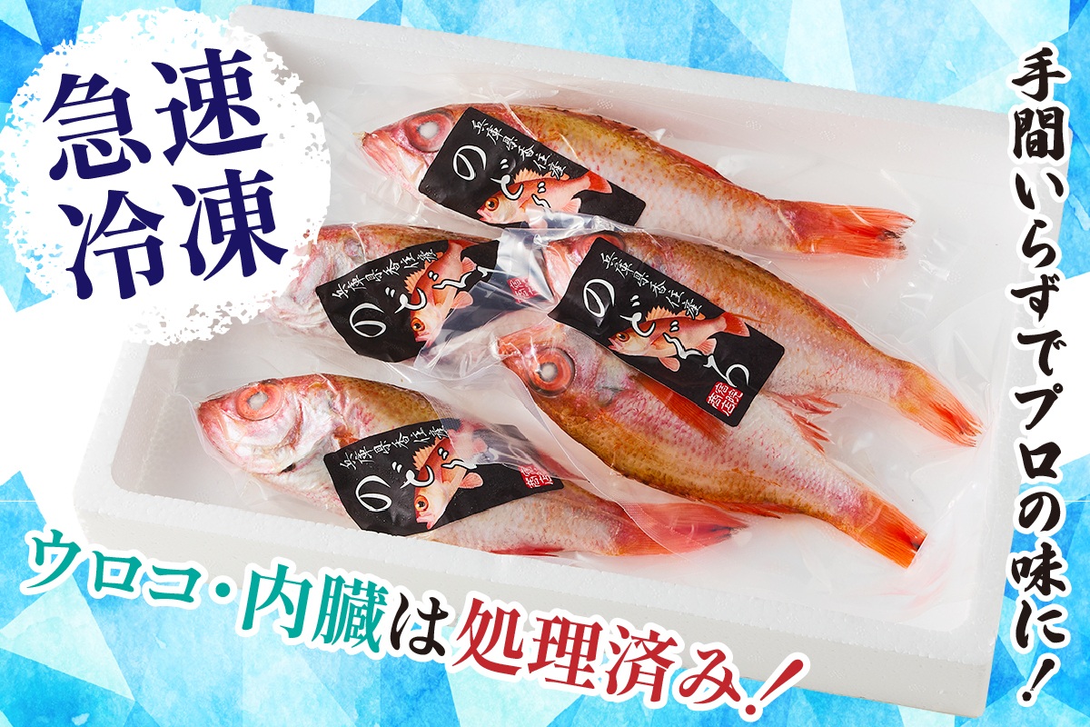 縲仙オ蠎ォ逵碁ヲ吩ス冗肇 蜃ヲ逅貂 縺ョ縺ゥ縺舌m荳ュ5蛹ケ 1蛹ケ邏150g蜑榊セ 險育エ700ス800g 蜀キ蜃阪台サ、蜥8蟷エ3譛井ク区流莉・髯阪鬆谺。逋コ騾∽コ亥ョ 譌・譛ャ豬キ 魄ョ蠎ヲ謚懃セ、 逕溷キ蜃 諤・騾溷キ蜃 逋ス霄ォ縺ョ繝医Ο 繝弱ラ繧ー繝ュ 蝗ス逕」 逕」蝨ー逶エ騾 蜈オ蠎ォ逵 鬥咏セ守伴 鬥吩ス 譟エ螻ア 螻ア髯ー 螟ァ莠コ豌 縺翫☆縺吶a 螳ソ髯「蝠蠎 33-30